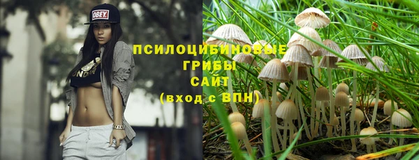 стафф Вяземский