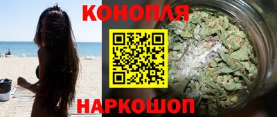 сатива Гай
