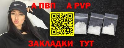 сатива Гай