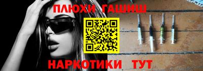 сатива Гай