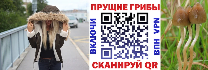 Псилоцибиновые грибы MAGIC MUSHROOMS  Унеча 